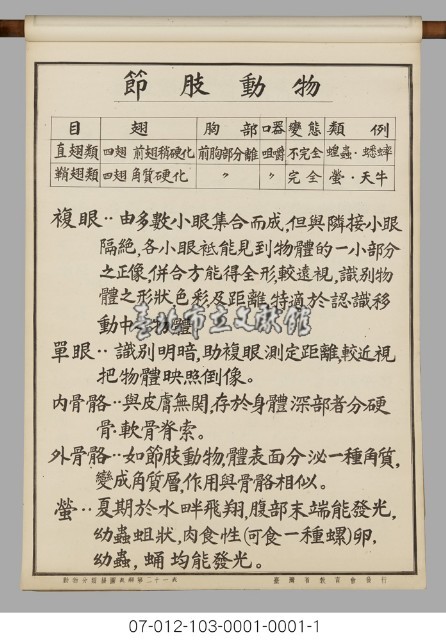 動物分類掛圖表解藏品圖，第23張