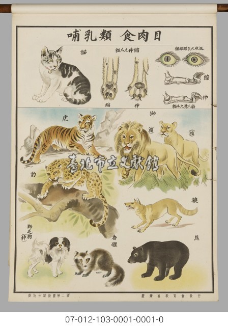 動物分類掛圖藏品圖，第4張