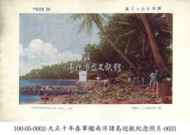 土魯克群島上椰子採收情景藏品圖，第1張