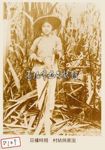 村姑與蔗園藏品圖，第1張