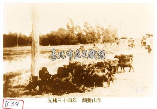 飼養山羊藏品圖，第1張