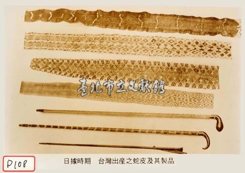 蛇皮及其製品藏品圖，第1張