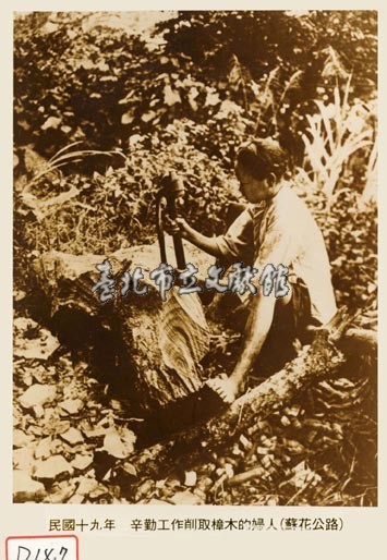 辛勤工作削取樟木的婦人藏品圖，第1張