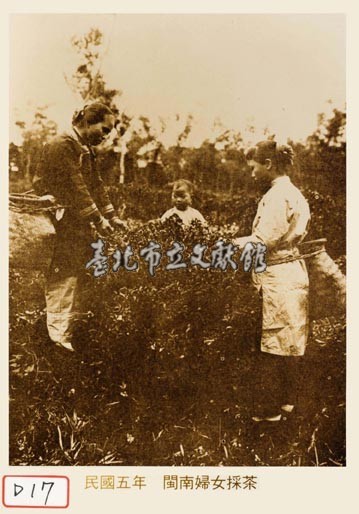 閩南婦女採茶藏品圖，第1張