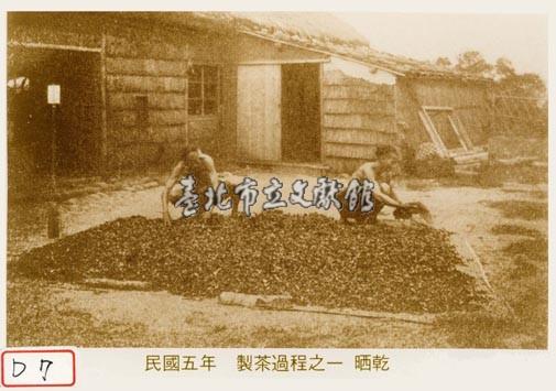 製茶過程之一晒乾藏品圖，第1張