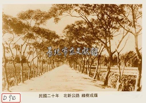 北新公路 綠樹成蔭藏品圖，第1張
