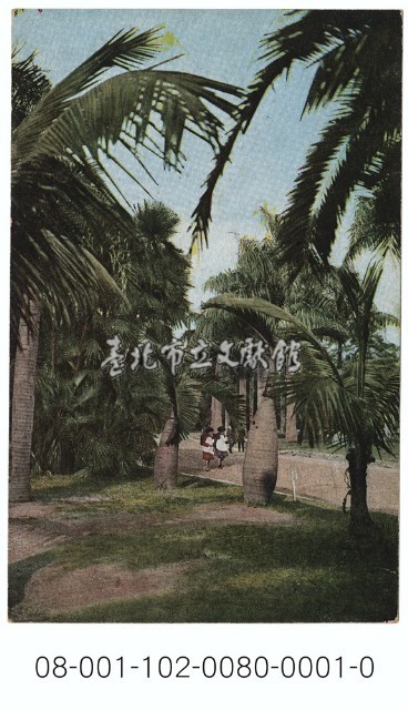 （臺北）臺北植物園藏品圖，第1張