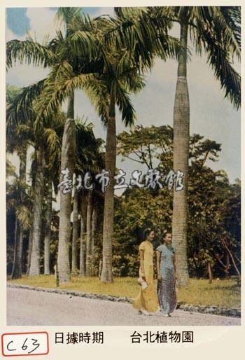臺北植物園藏品圖，第1張