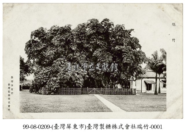 屏東市臺灣製糖株式會社瑞竹藏品圖，第1張