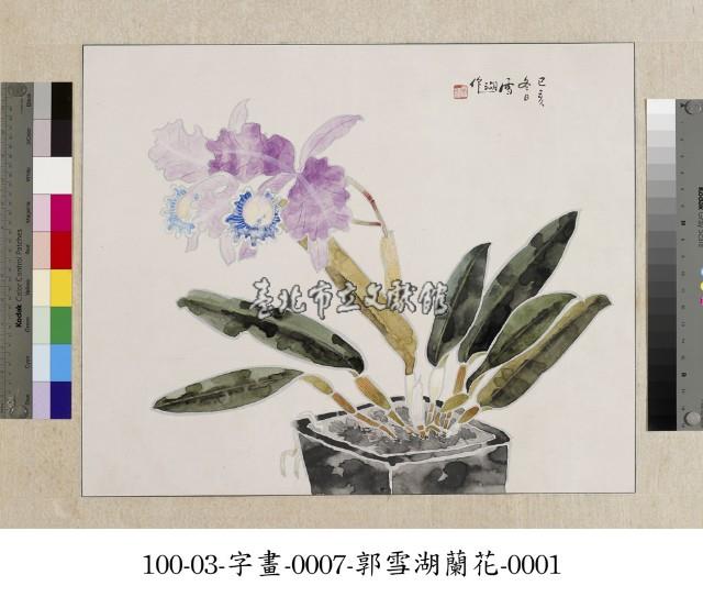 郭雪湖-蘭花藏品圖，第1張