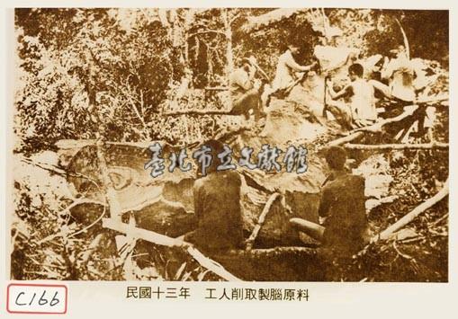 工人削取製樟腦原料藏品圖，第1張