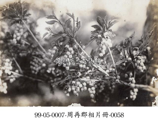 周再郡相片冊-0058藏品圖，第1張