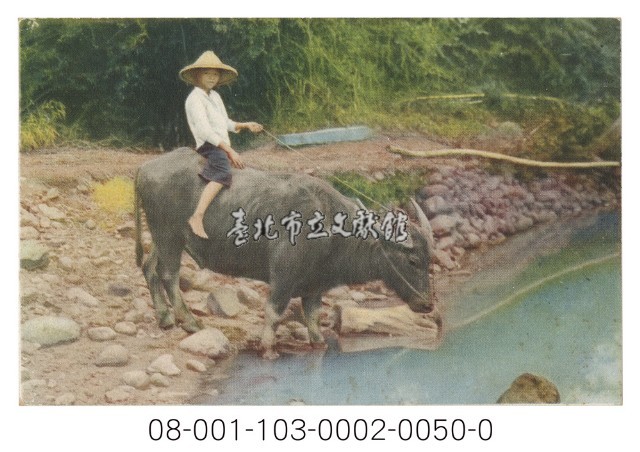 牧童藏品圖，第1張