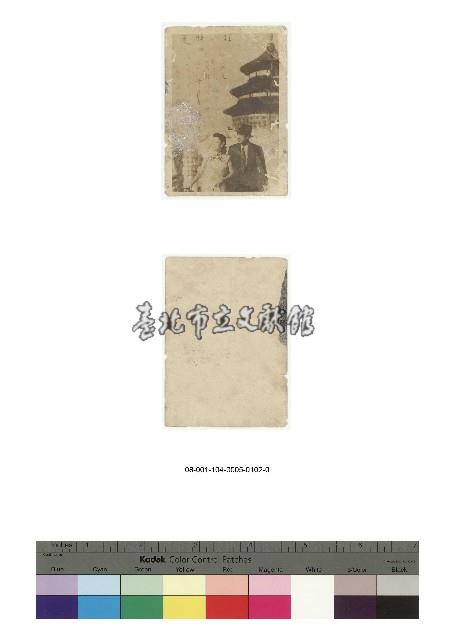 日治時期明信片-紅い睡蓮藏品圖，第1張