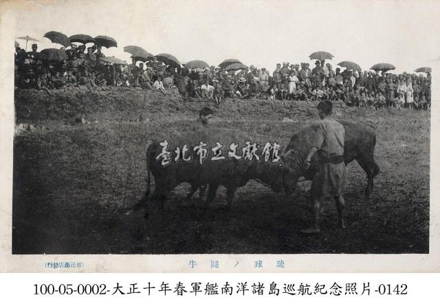 琉球當地鬥牛情形藏品圖，第1張
