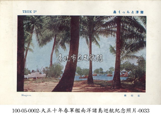 土魯克群島沿岸的紅樹林藏品圖，第1張