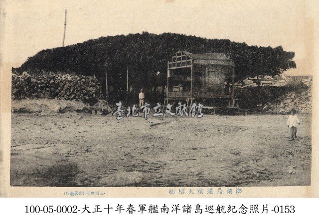 澎湖通梁大榕樹藏品圖，第1張