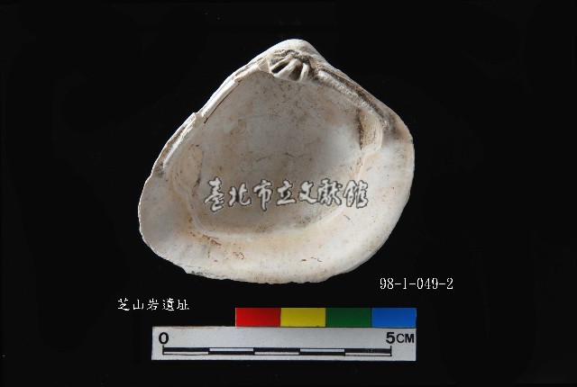 芝山岩文化大蜆藏品圖，第4張