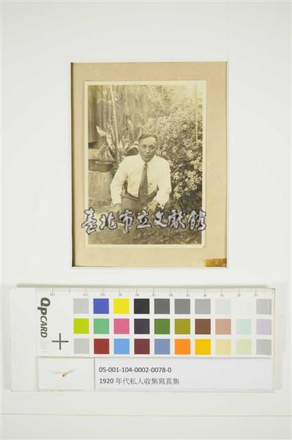 庭院裡的雛菊藏品圖，第1張