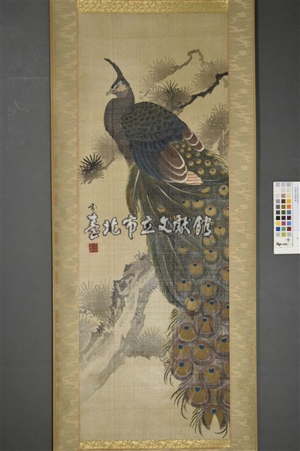 周雪峰(孔雀松枝圖)藏品圖，第2張