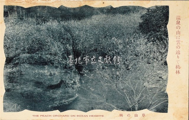 【草山溫泉】-明信片（草山の桃）藏品圖，第1張
