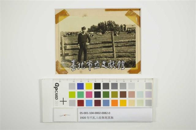 男孩與乳牛藏品圖，第1張