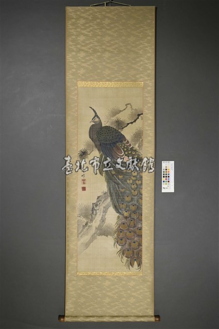 周雪峰(孔雀松枝圖)藏品圖，第1張