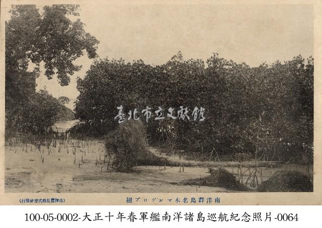 南洋群島知名樹木藏品圖，第1張