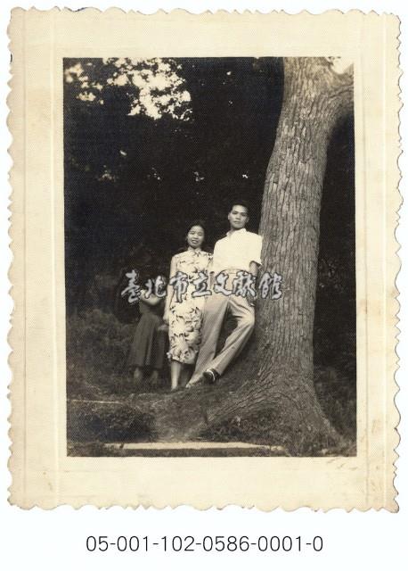 遊客與大樹合影(1)藏品圖，第1張