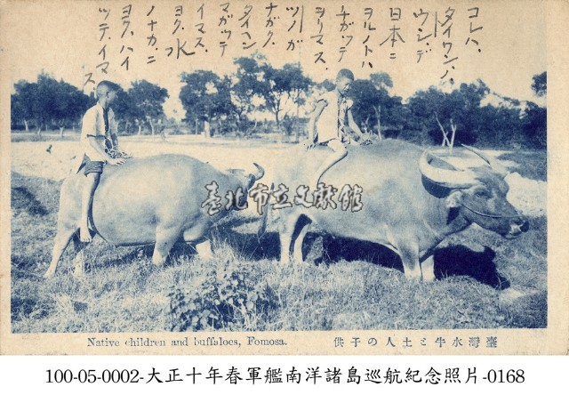 放牧水牛的孩童藏品圖，第1張