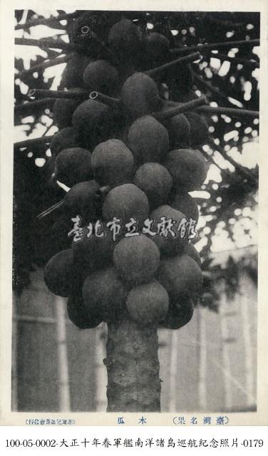 臺灣水果-木瓜藏品圖，第1張