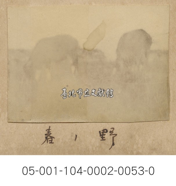 四人合照於走廊上(稍冷氣O員ユル极ノ上)藏品圖，第1張