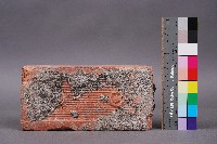 TR磚3藏品圖，第2張