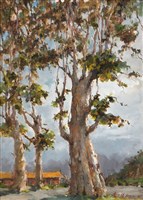 千層樹藏品圖，第1張