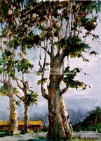 千層樹藏品圖，第2張