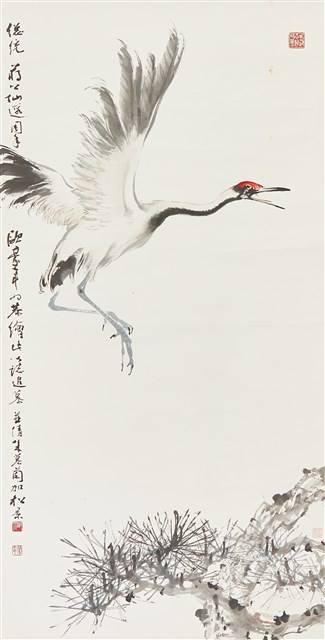 松鶴的圖片