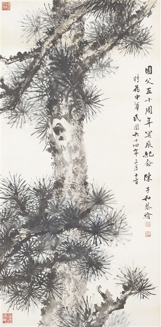 松的圖片