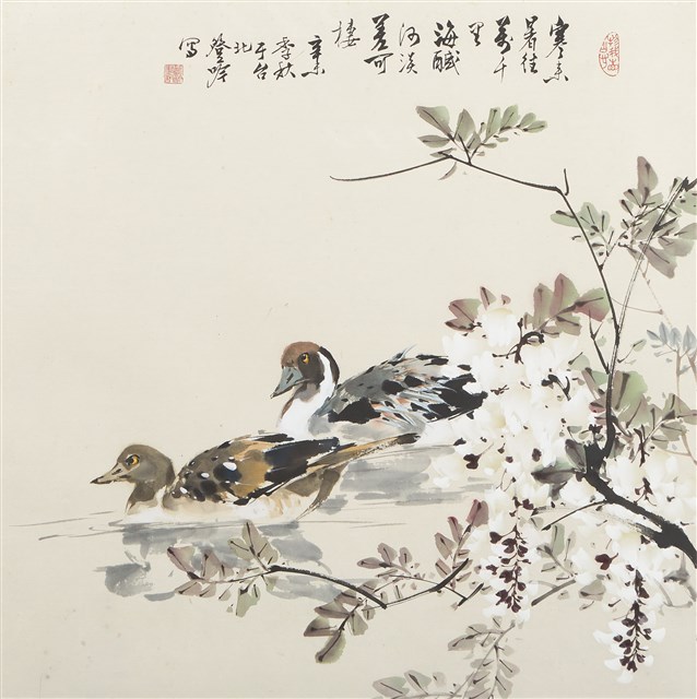 花鳥的圖片