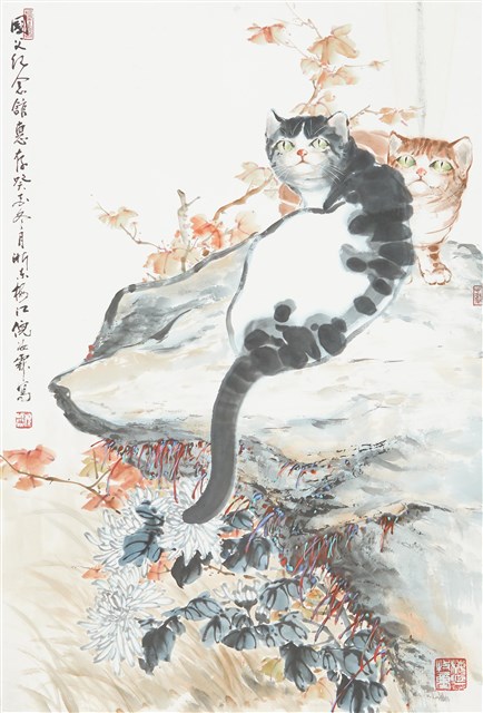 貓的圖片
