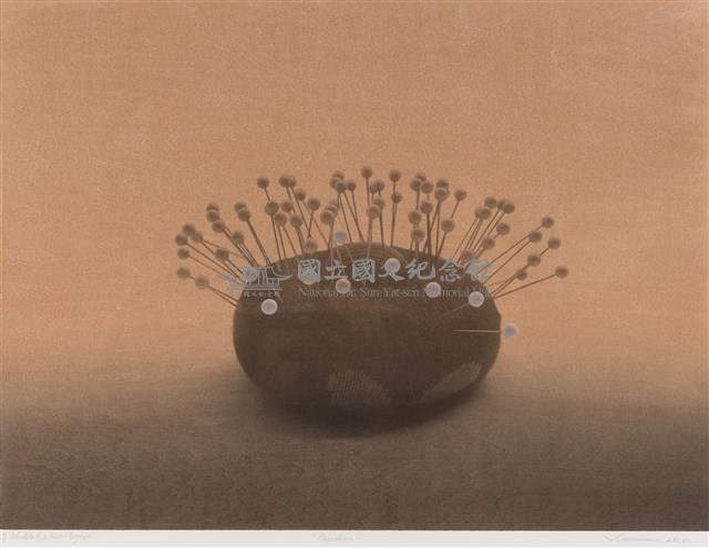 針包藏品圖，第1張