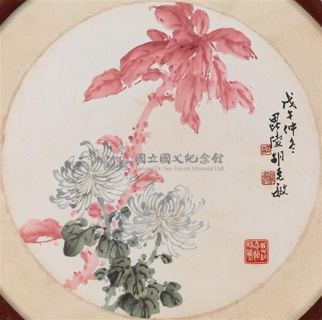 菊藏品圖，第1張