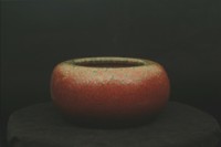 憨厚系列-甘露的圖片