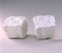 進化＃2藏品圖，第1張