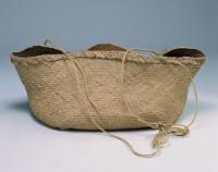 鹹草蔞子的圖片