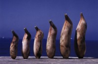 關係系列.6 D031.6藏品圖，第1張