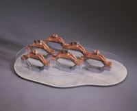 威尼斯幻影的圖片