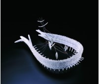 棘刺邊緣藏品圖，第1張