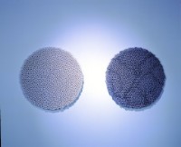 雙胞兄弟藏品圖，第1張
