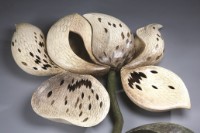 花藏品圖，第2張