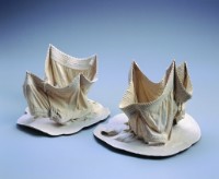 短內褲藏品圖，第1張